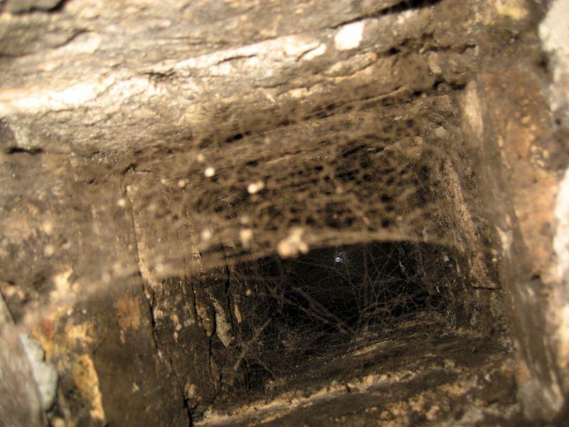 Spinnennetze im Rauchfang